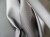 6cf76d634c2cb025657d7e567eee